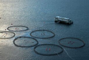 Πόρος: Ο δήμαρχος του νησιού εκπέμπει «SOS» για τη Βιομηχανική Ζώνη Ιχθυοκαλλιεργειών