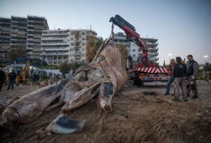 Φρεαττύδα: Τεράστια φάλαινα ξεβράστηκε στη παραλία του Πειραιά-video