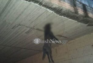 Τέρατα! Κρέμασαν σκύλο από γέφυρα!