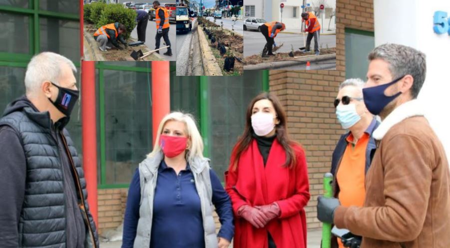 Δήμος Πειραιά: Φυτεύσεις στη νησίδα της λεωφόρου Θηβών στον Πειραιά-video