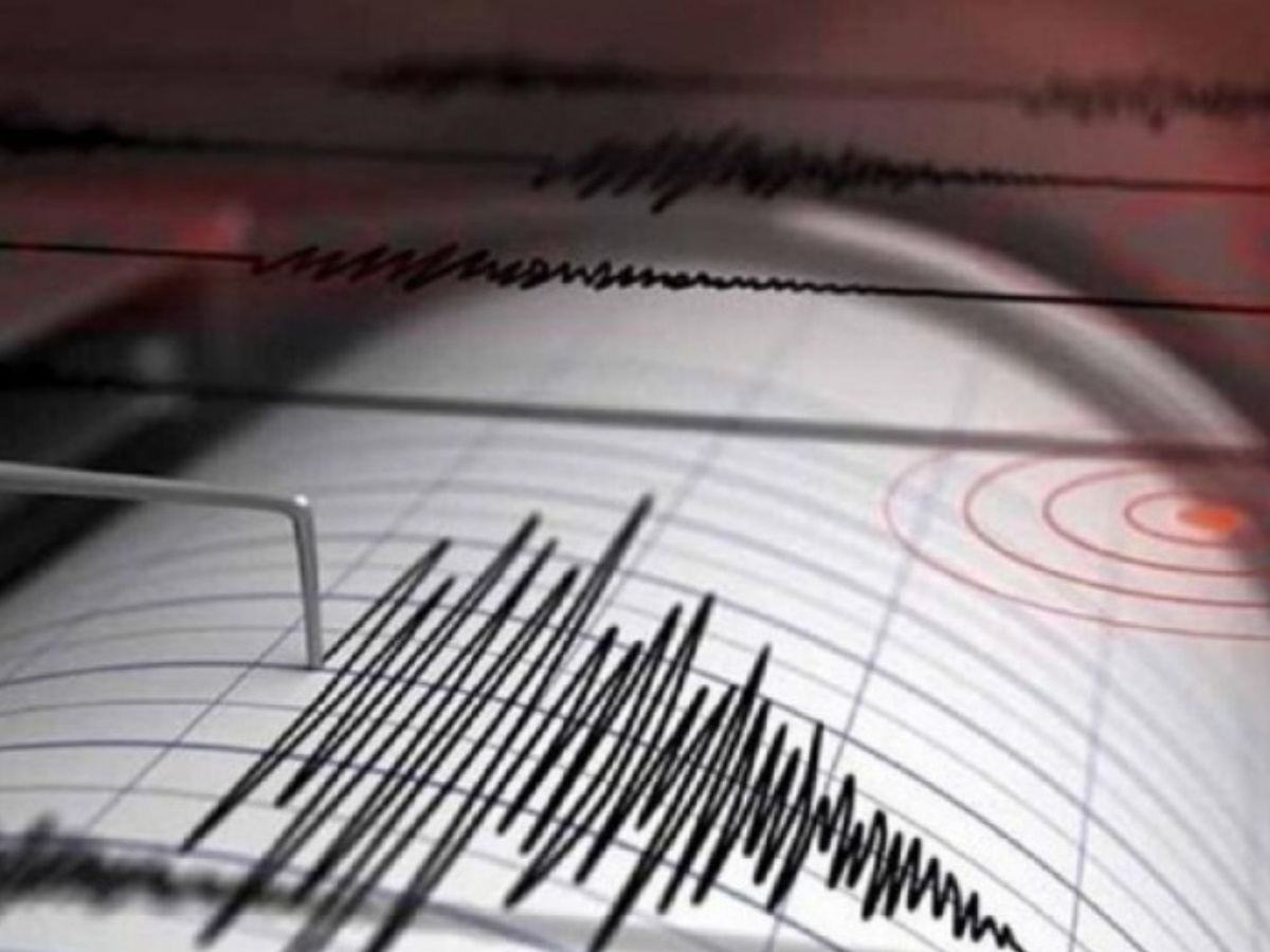 Σεισμός 5,9 Ρίχτερ στην Ελασσόνα: Η στιγμή που ταρακουνήθηκαν Τρίκαλα και Κοζάνη-video