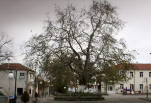 Το χωριό στη Φλώρινα με το πιο ξινό νερό