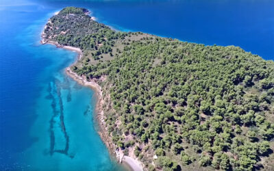Εγγλεζονήσι: Ένα καταπράσινο νησί πνιγμένο από δέντρα και ψιλή άμμο στην Εύβοια (video)