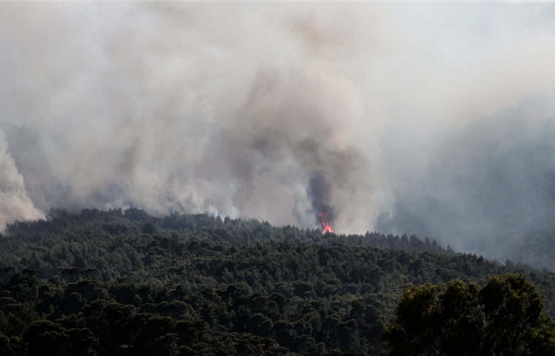 Σύστημα έγκαιρου εντοπισμού πυρκαγιάς έφτιαξαν φοιτητές από τη Θεσσαλονίκη – Τι κάνει όταν βρει εστία