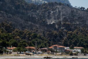 Σοκάρουν τα στοιχεία για την καταστροφική πυρκαγιά στα Γεράνεια Όρη (video)