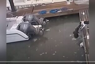 Viral Βίντεο: Σκύλος ξεφεύγει από φονικό κεφαλοκλείδωμα αλιγάτορα!