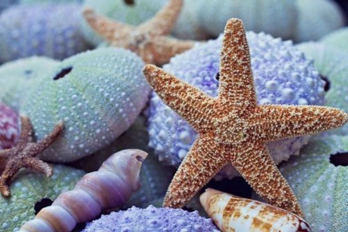 Ζώδια-Ιούνιος 2021: Μηνιαίες προβλέψεις για τα 12 ζώδια