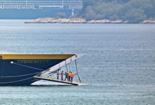 Σαλαμίνα: Διασώθηκε σκύλος που κολυμπούσε στο δίαυλο Σαλαμίνας -Περάματος