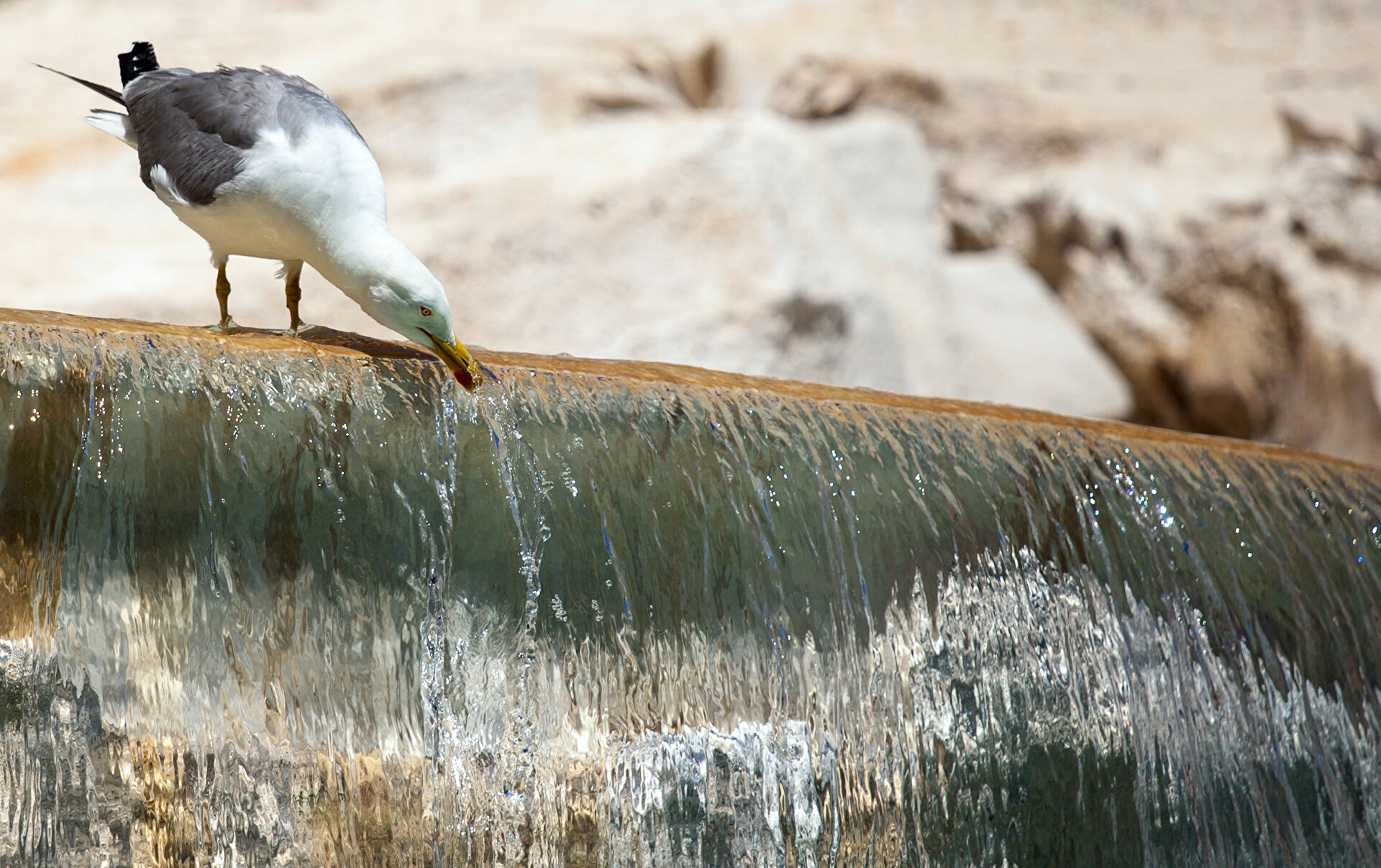 Καιρός 23/6: Έρχεται το πρώτο κύμα καύσωνα