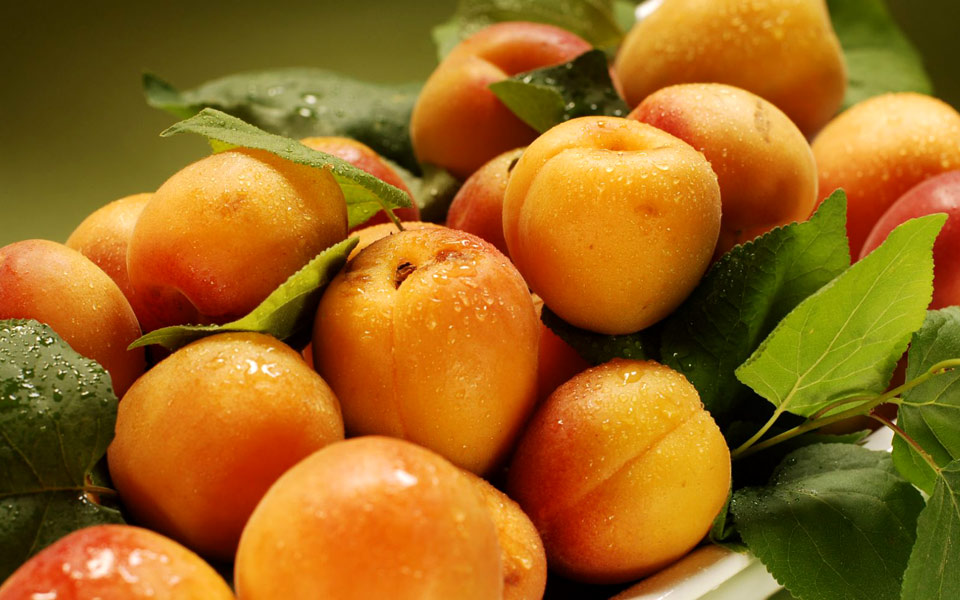 Bερίκοκο: Ο θαυματουργός καρπός για την υγεία μας!