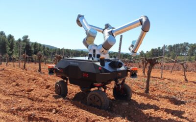 Έφτιαξαν ρομπότ που θα κάνει τις δουλειές που χρειάζεται ένας αμπελώνας – Δείτε τις λειτουργίες του