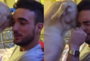 Viral Βίντεο: Σκύλος "εκλιπαρεί" για συγχώρεση το αφεντικό του! Θα λιώσετε