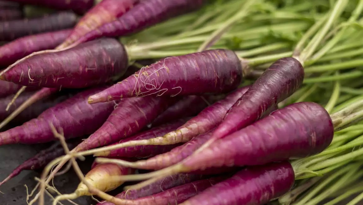 Μωβ καρότα: Ένας πολύτιμος σύμμαχός του οργανισμού μας
