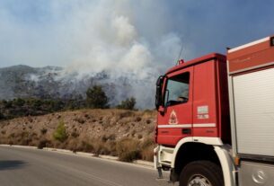 Σαλαμίνα: Φωτιά κοντά στη Λεωφόρο Ιπποκράτους
