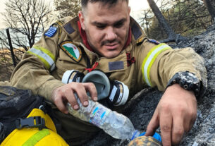 Φωτιά Αχαΐα: Viral έγινε ο πυροσβέστης που δίνει νερό σε χελώνα (φωτο)