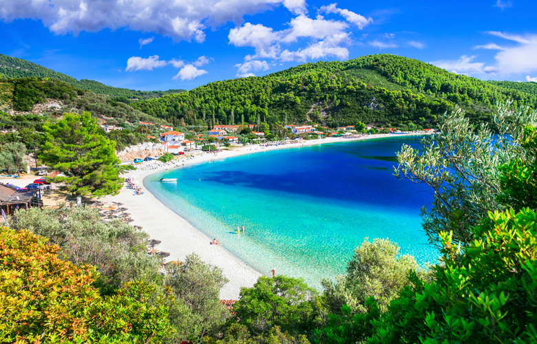 Σκόπελος: Μια παραλία-όαση με δέντρα στη θάλασσα και γαλαζοπράσινα νερά