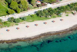 Μπρεξίζα: Η εξωτική γωνιά στη Νέα Μάκρη