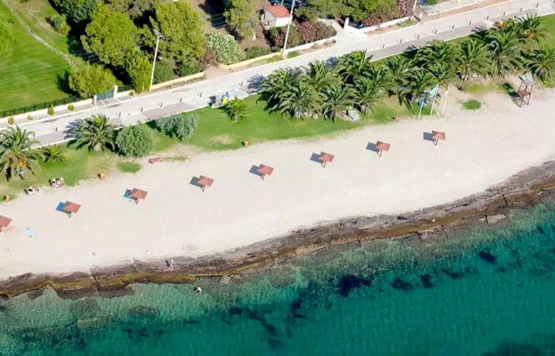 Μπρεξίζα: Η εξωτική γωνιά στη Νέα Μάκρη