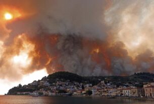 Λίμνη Ευβοίας: Μαρτυρία πυρόπληκτου – «Κάψανε ένα νομό με μηδέν μποφόρ!»