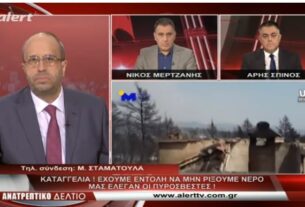 ΝΕΑ ΚΑΤΑΓΓΕΛΙΑ από κάτοικο της Βόρειας Εύβοιας: «ΟΙ ΠΥΡΟΣΒΕΣΤΕΣ μας έλεγαν ότι έχουν εντολή να μην ρίξουν νερό...»