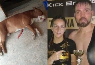 Ραγδαίες εξελίξεις για πίτμπουλ, Γαλάτσι: «Γονάτισε, έριξε στην καρδιά». Οργισμένος ο ιδιοκτήτης Κ. Νικολαΐδης [φωτο]