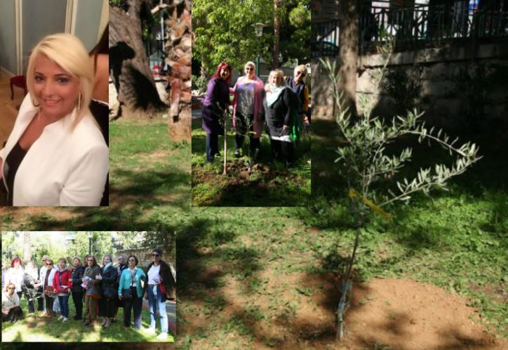 Δήμος Πειραιά: Δενδροφύτευση από εθελόντριες στους κήπους της Τερψιθέας