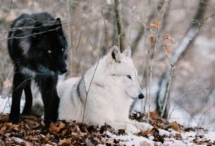 Πάντα παρεξηγείται ο άνθρωπος που είναι αυθεντικός, ατόφιος και ανόθευτος!