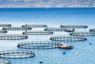 Ιχθυοκαλλιέργειες Επιστολή Δημάρχου Πόρου προς τους Βουλευτές Α΄ Πειραιά της Ν.Δ