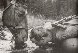 Η σοφία της Φύσης!