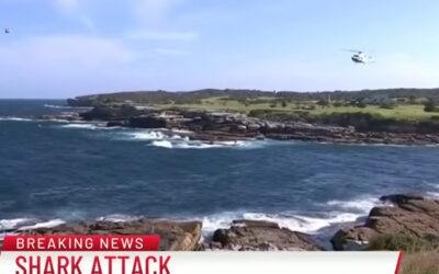 Ανατριχιαστικό βίντεο με θανατηφόρα επίθεση λευκού καρχαρία στην Αυστραλία. Είναι ο πρώτος θάνατος μετά το 1963...