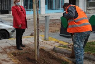 Δήμος Πειραιά: Ανάπλαση πρασίνου & εξωραϊσμός στην πλατεία Θεμιστοκλή