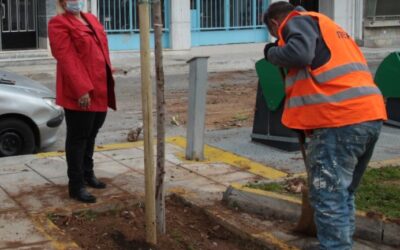 Δήμος Πειραιά: Ανάπλαση πρασίνου & εξωραϊσμός στην πλατεία Θεμιστοκλή