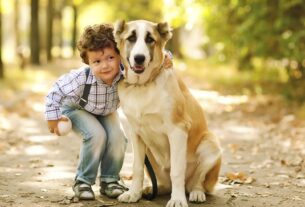 7 πράγματα που με δίδαξε ο σκύλος μου
