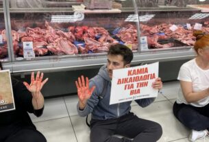 Vegan εισέβαλαν σε σούπερ μάρκετ του Πειραιά και έριξαν μπογιά στο κρεοπωλείο