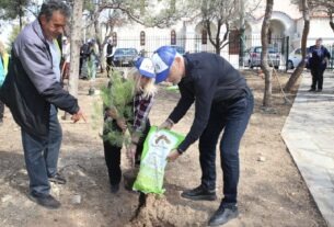 Πειραιάς: Είκοσι τρία νέα δένδρα φυτεύσαν Μώραλης και Καρακατσάνη στο άλσος του Προφήτη Ηλία