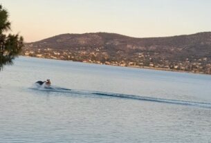 Σαλαμίνα: Καταγγελία για παράνομη κίνηση ταχύπλοων σκαφών στο κεντρικό λιμάνι της Κουλούρης!