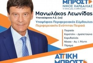 Λεωνίδας Μανωλάκος: "Ο πολίτης πρέπει να είναι η κύρια προτεραιότητα όλων μας"