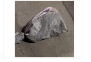 Καμίνια: «Κτήνη» έκλεισαν γάτα σε τσουβάλι και την παράτησαν στον δρόμο