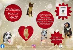Νίκαια: Χριστουγεννιάτικο bazaar για τους τετράποδους φίλους σας στις 7 και Δεκεμβρίου!