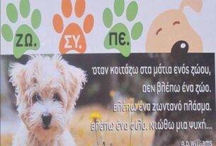 Η Ενδοσκοπική Μονάδα Πειραιά στο πλευρό του Ζωοφιλικού Συλλόγου Αδέσποτων Περάματος