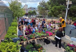 Πέραμα: Χιλιάδες πολύχρωμα λουλούδια και ακτές καθαρές για την Ημέρα Περιβάλλοντος