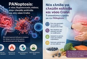 Μια νέα ελπίδα για την ελκώδη κολίτιδα και τη νόσο Crohn: Τι είναι η PANoptosis και γιατί απασχολεί την ιατρική κοινότητα
