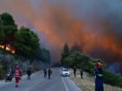 Στάχτη 100.000 στρέμματα σε Βοιωτία και Αττική...