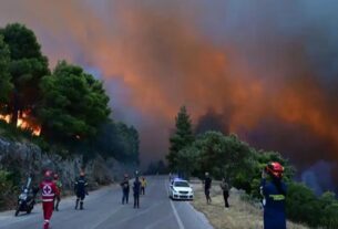 Στάχτη 100.000 στρέμματα σε Βοιωτία και Αττική...