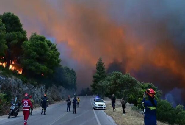 Στάχτη 100.000 στρέμματα σε Βοιωτία και Αττική...